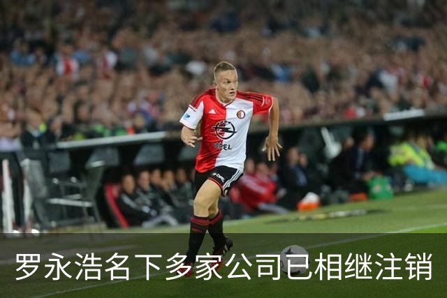罗永浩名下多家公司已相继注销